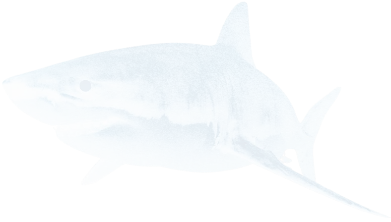 bg s2 sea animals bottom right
