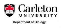 carleton