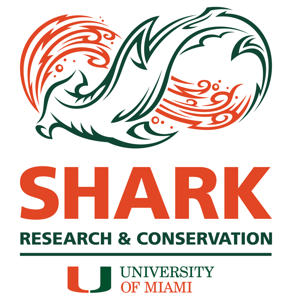 shark research and conservation university of miami (1)