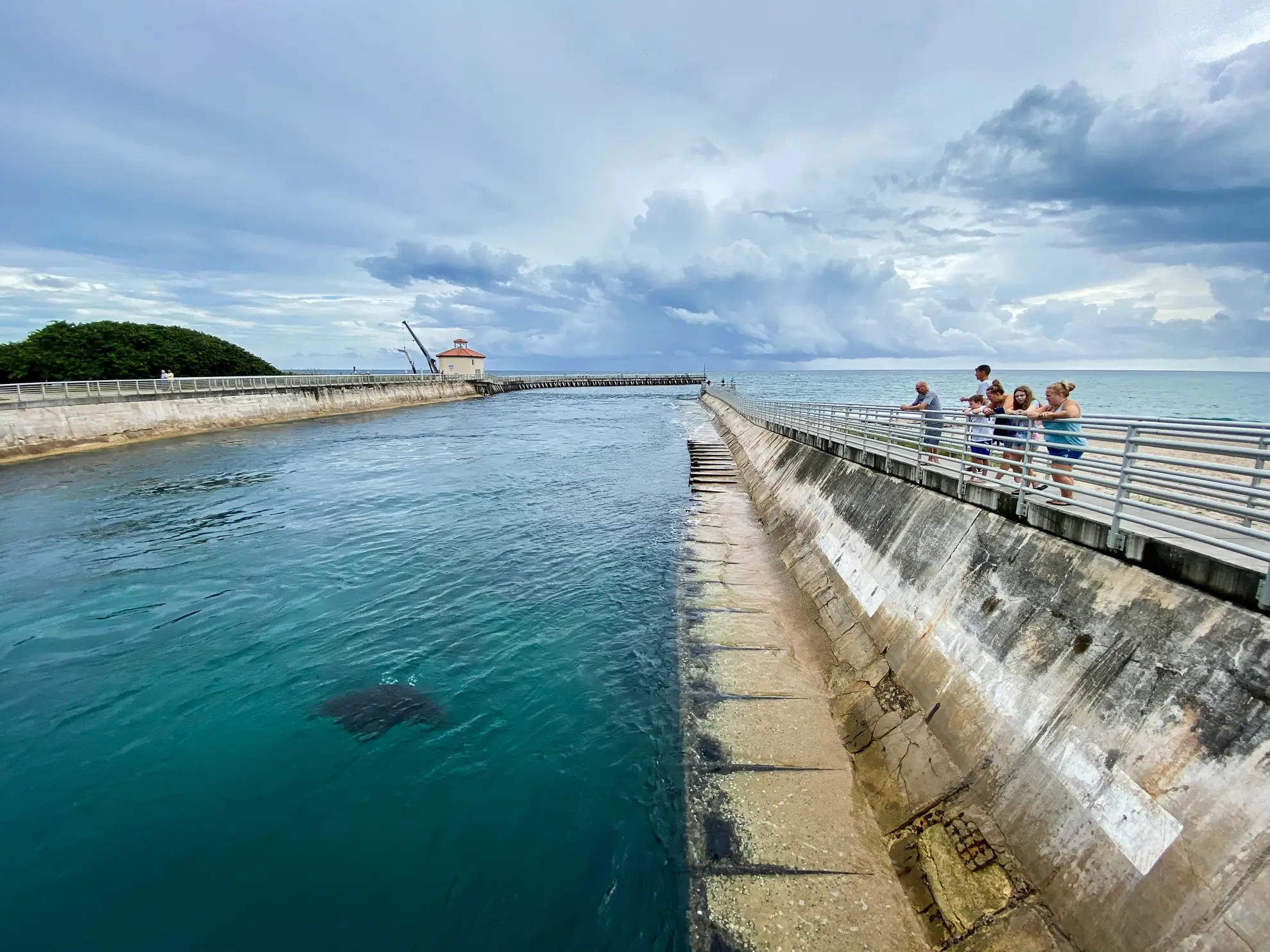 5 Manta in Inlet Bryant Turffs