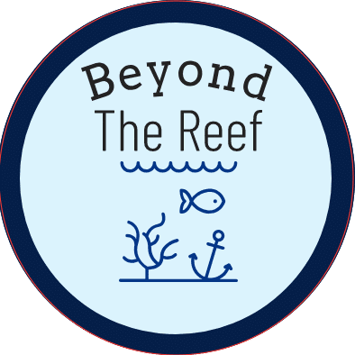 Beyond the Reef