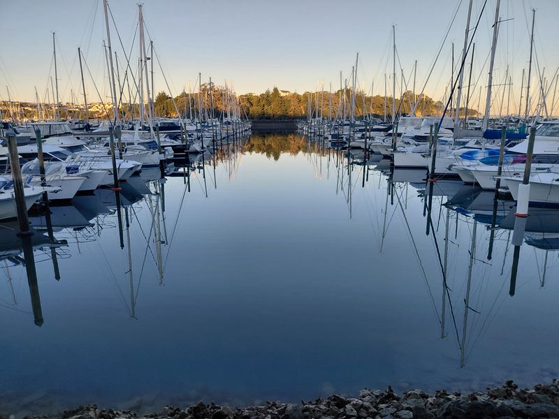 Gulf Harbour Marina Partner 2
