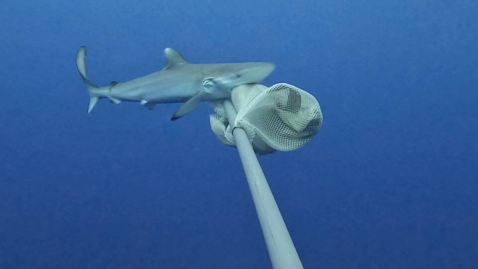 PHOTO 2026 06 06 09 58 33