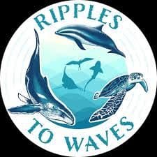 Ripples to Waves