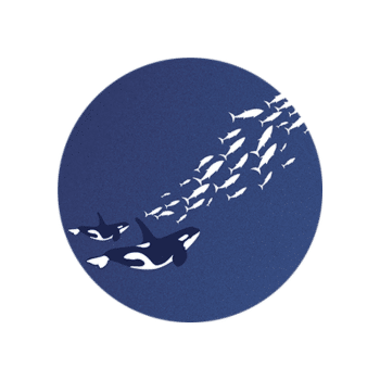 Marina Partner Logos (3)
