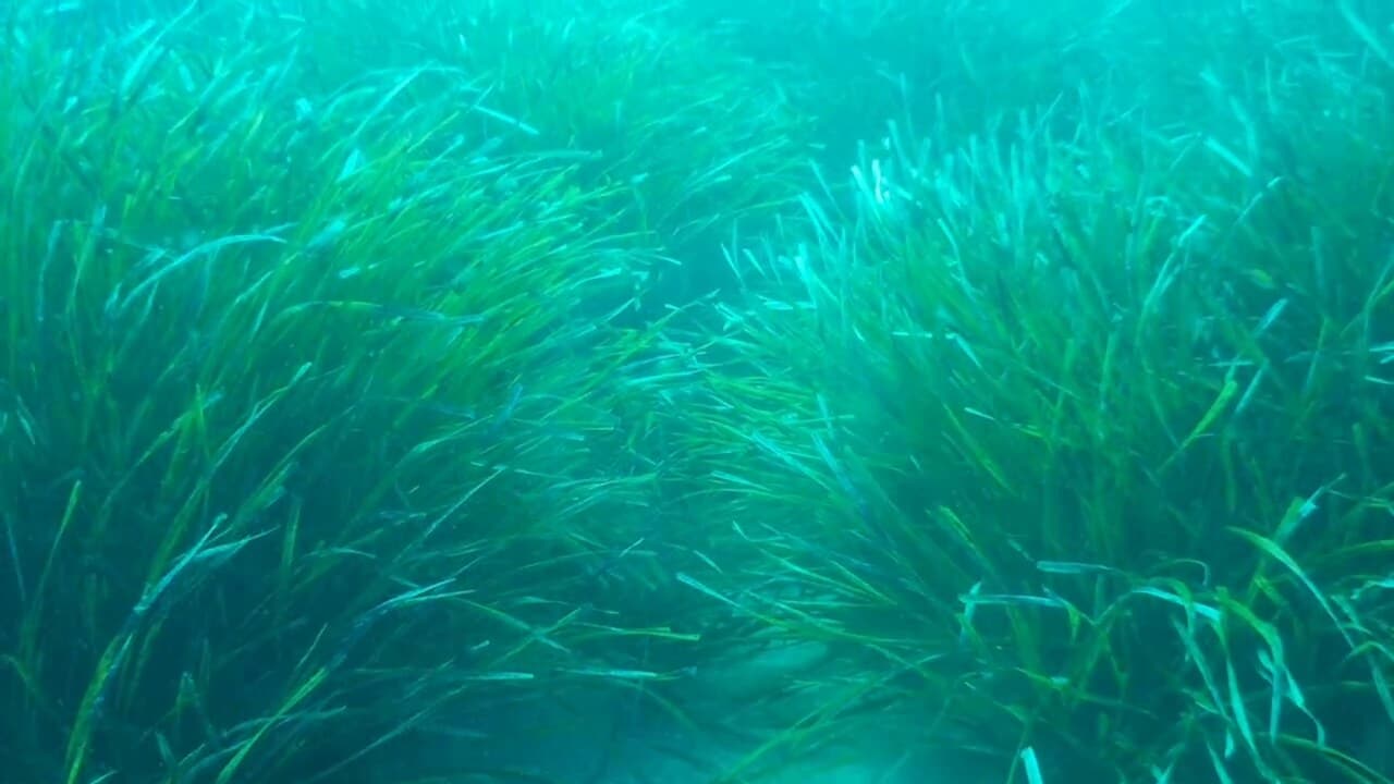 video 2026 07 29 08 04 12.mp4 00 00 09 00001