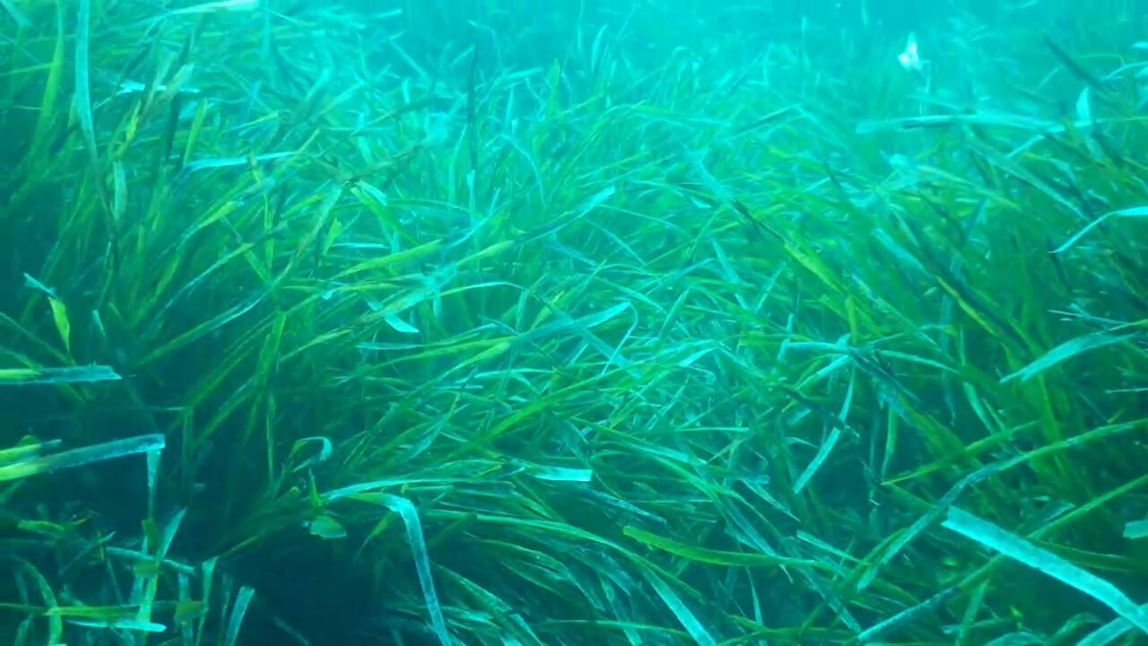 video 2026 07 29 08 04 12.mp4 00 02 08 00004