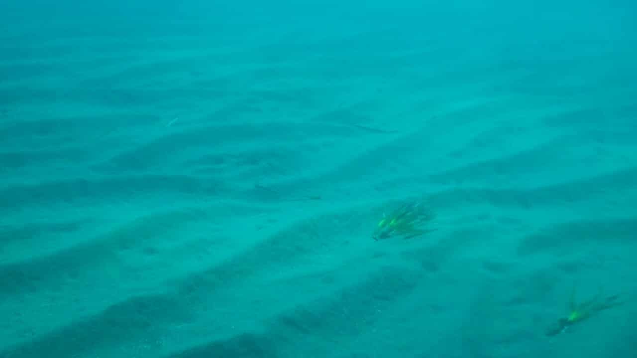 video 2026 07 29 08 04 12.mp4 00 04 16 00001