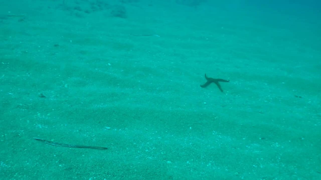 video 2026 07 29 08 44 07.mp4 00 12 51 00002