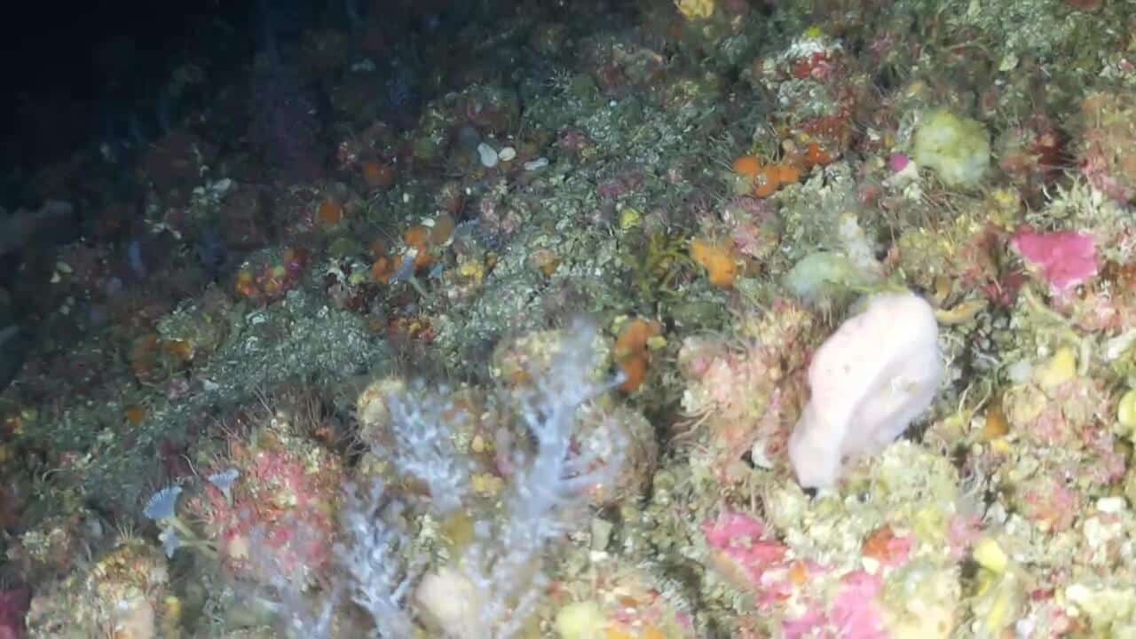 video 2026 07 30 08 02 40.mp4 00 13 09 00001