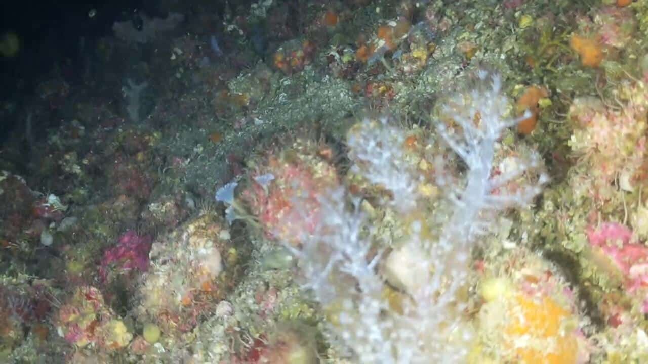 video 2026 07 30 08 02 40.mp4 00 13 16 00001