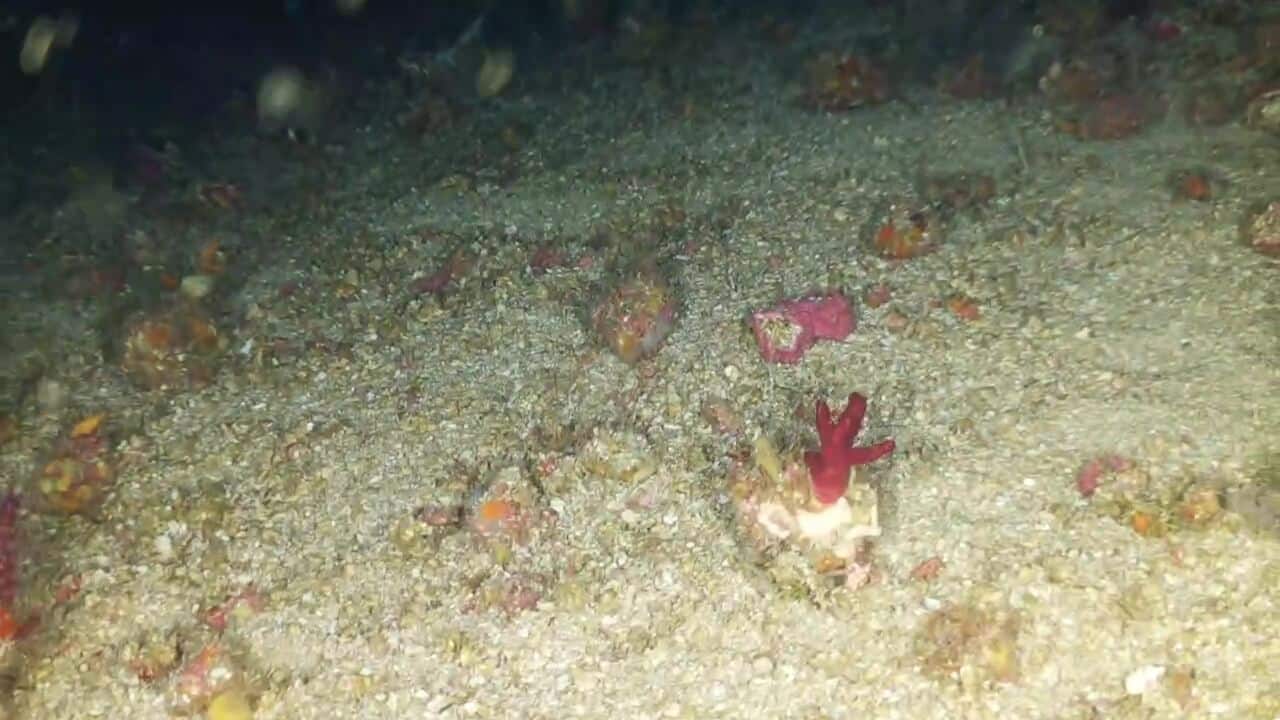 video 2026 07 30 08 02 40.mp4 00 14 34 00002