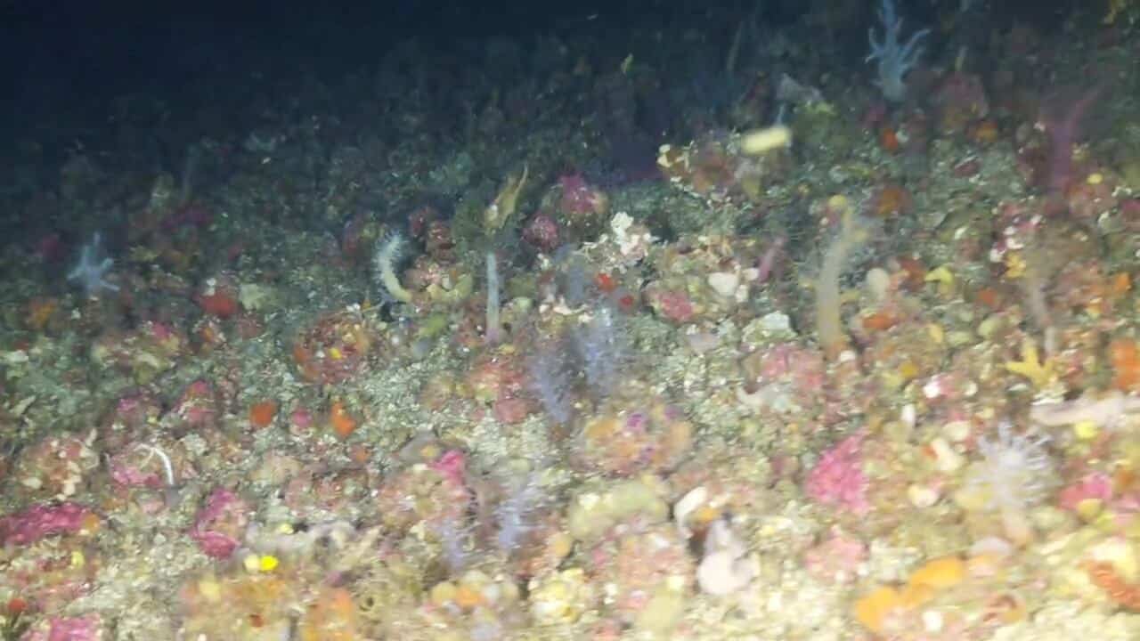video 2026 07 30 08 02 40.mp4 00 14 50 00003