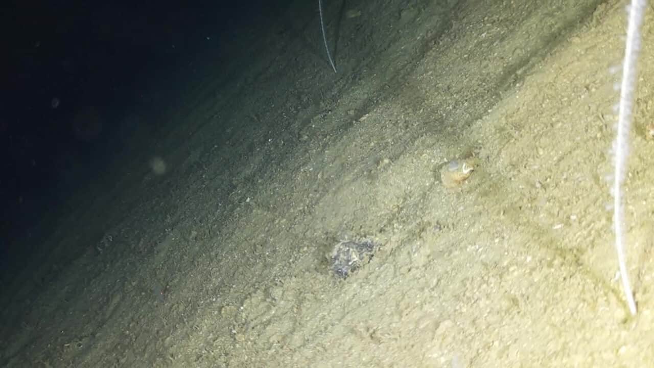 video 2026 07 30 09 39 40.mp4 00 04 06 00001