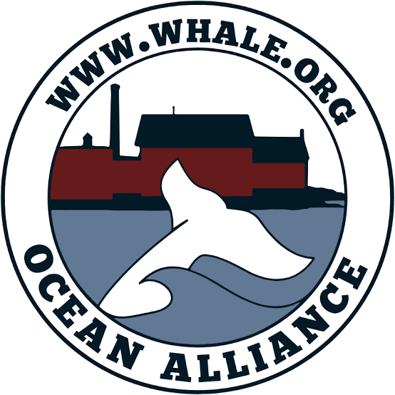 whale oceal alliance logo (1)
