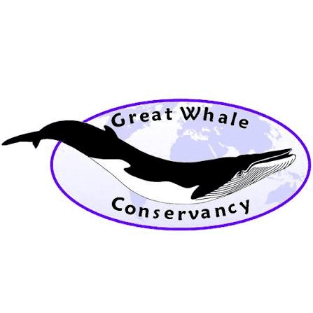 great whale conservancy