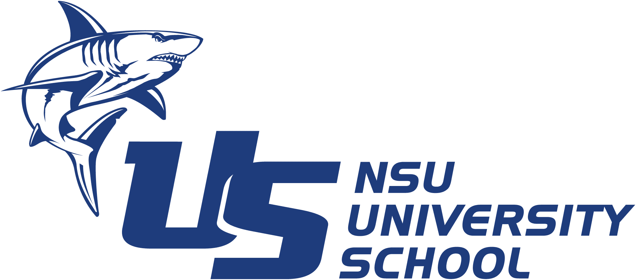 NSU (1)
